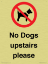 no-dogs-upstairs-please-~